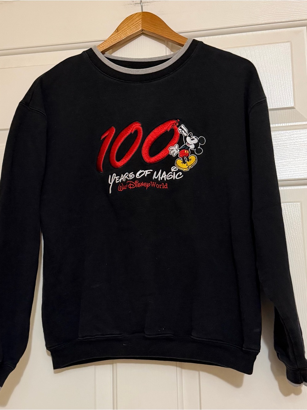 Vintage Walt Disney World 100 Years of Magic Embroidered Crewneck Sweatshirt S